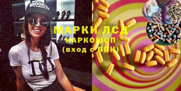прущие грибы Баксан