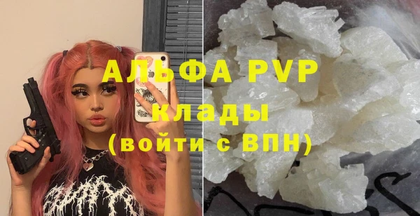 прущие грибы Баксан