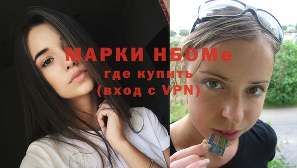 прущие грибы Баксан