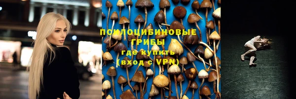spice Балабаново