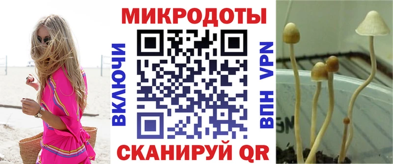 Псилоцибиновые грибы Psilocybine cubensis  ссылка на мегу вход  Ликино-Дулёво 
